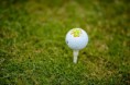 /album/beroun-golf-club-17-6/dsc-2784-zmena-velikosti-jpg/